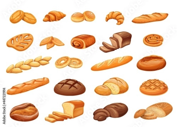 Fototapeta French bread bakery product set, colored vector illustration. Bake roll, pastry and slices breads. Tabatiere, epi baguette, bagel, pain au levain, petits pains and ets.