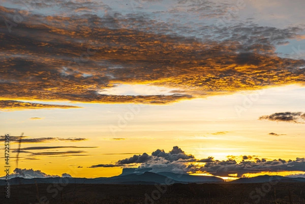 Obraz sunset in the field