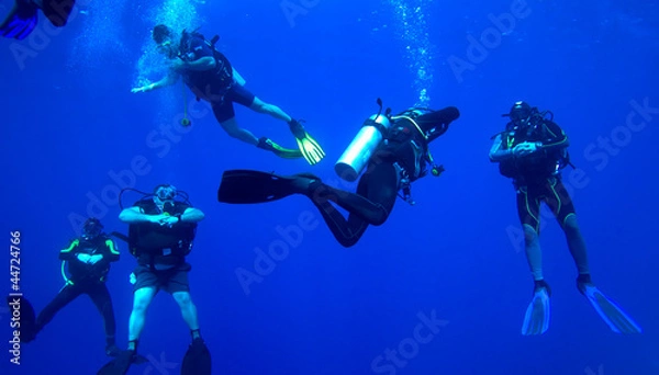 Obraz Group of divers on 5-min safety stop, Cuba