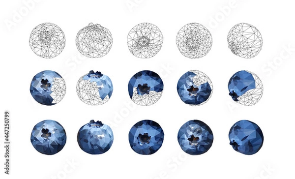 Fototapeta Set of Blueberries tasty and delicious isolated on white. Low poly triangular 3d blueberries in a geometric style. Detailed vector illustration stages of the creation process