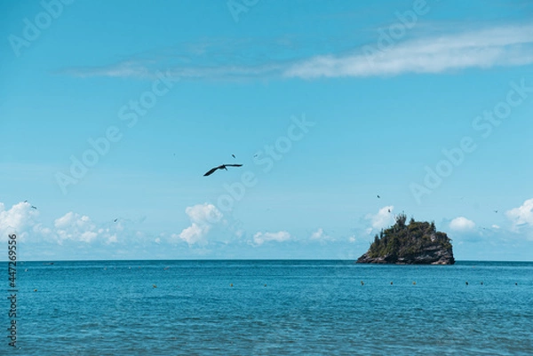 Obraz island in the ocean