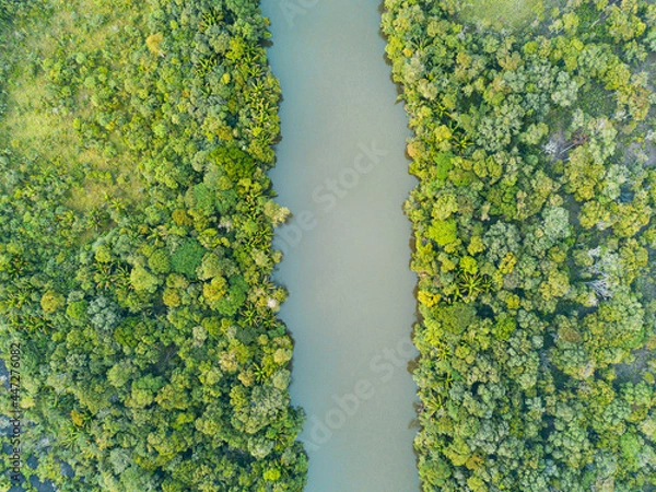 Obraz river from the top