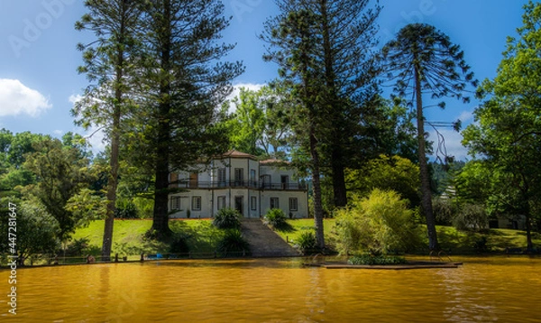Obraz The famous brown pool colored by iron in the Terra Nostra botanical garden on Sao Miguel, Azores