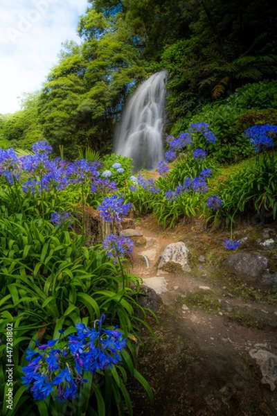 Obraz Beautiful waterfall at Parque Natural da Ribeira dos Caldeirões on Sao Miguel, Azores