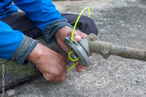 Fototapeta Trimmer line close-up. Gardener's hand holding a trimmer head with nylon cord cutting grass and repairing weed cutter replacing parts replacement  Tool for cleaning the territory. 