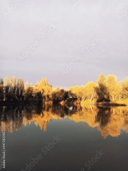 Obraz lake in autumn