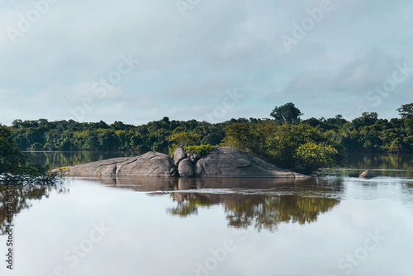 Obraz jurassic landscape