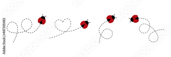 Fototapeta Cute ladybug icon set. Ladybugs flying on dotted route. Cartoon ladybirds with open wings. Vector isolated on white background.