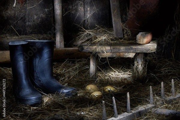 Obraz The interior of a dilapidated barn with outdated items, tools, a bench, a rake, boots on straw. Village life. Rural still life with interesting lighting.