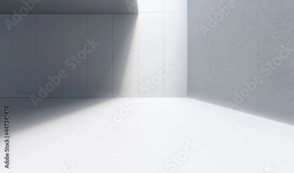 Obraz Empty space with white concrete