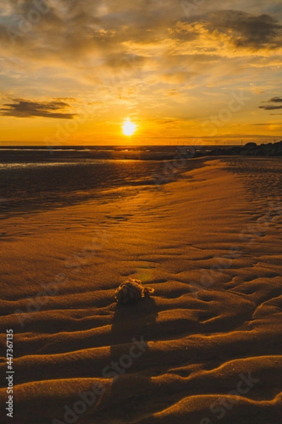 Obraz sunset at the beach