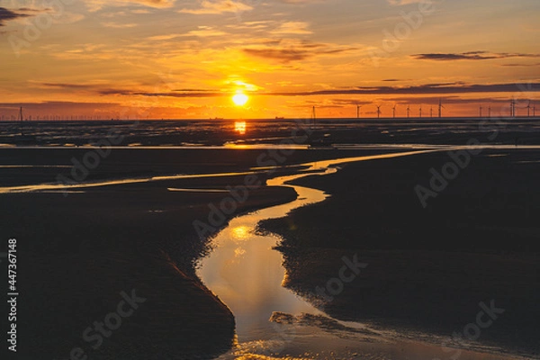 Obraz sunset on the beach