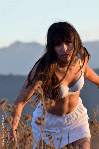 Obraz vuelo en tierra