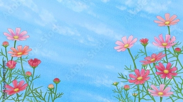 Obraz コスモスと秋の空