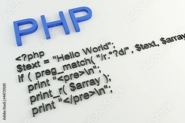 Obraz Php code concept