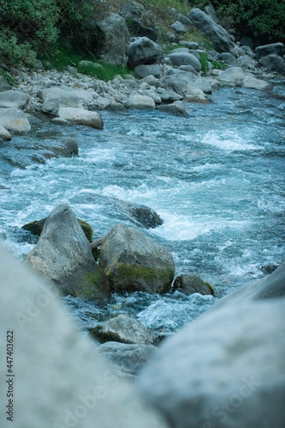 Obraz A calm river with large stones and green areas around it. Abundant flora, green and fallen plants with floating logs which generates peace and calm