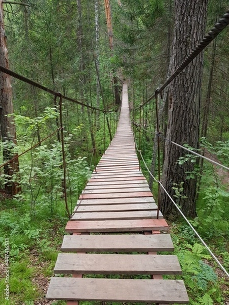 Fototapeta Wooden rope bridge in the forest