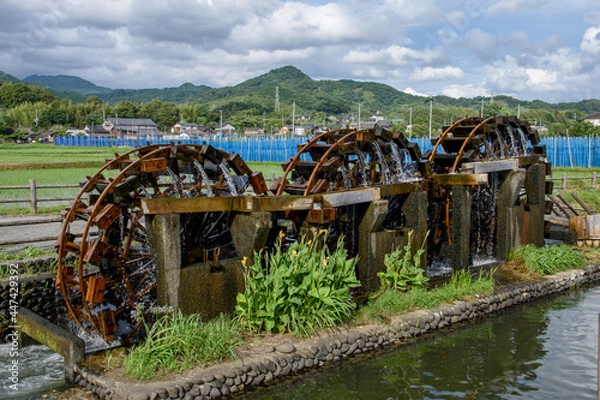 Fototapeta 水車と青空