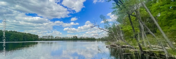 Obraz reflection of trees in water panorama