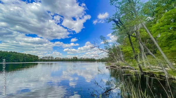 Obraz lake and forest blue sky