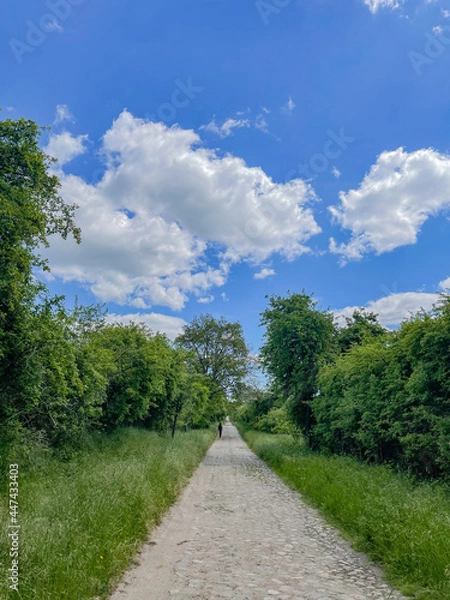 Obraz road to the sky
