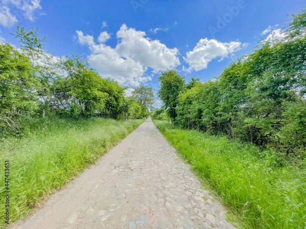 Obraz path in the park