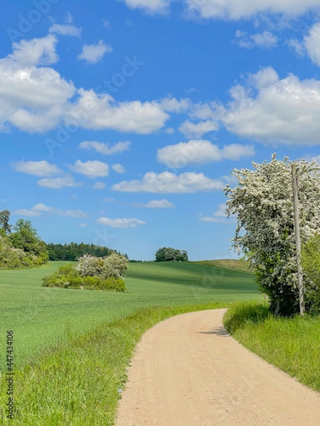 Obraz road in the countryside blue sky 