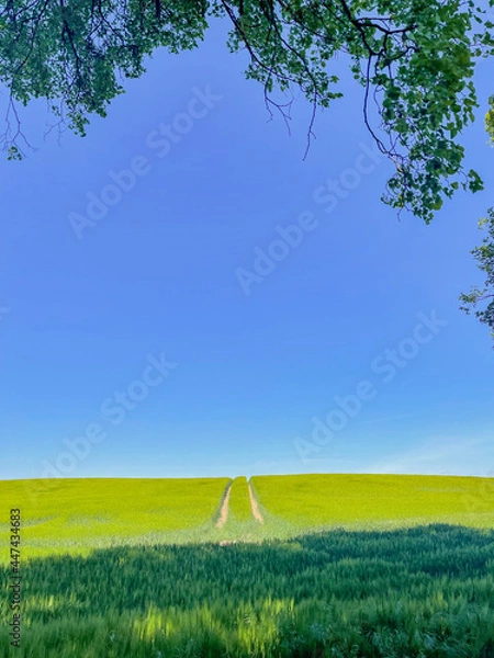 Obraz road in landscape with grass and sky