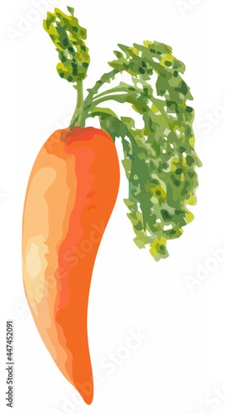 Fototapeta Isolated abstract illustration of a carrot on a white background