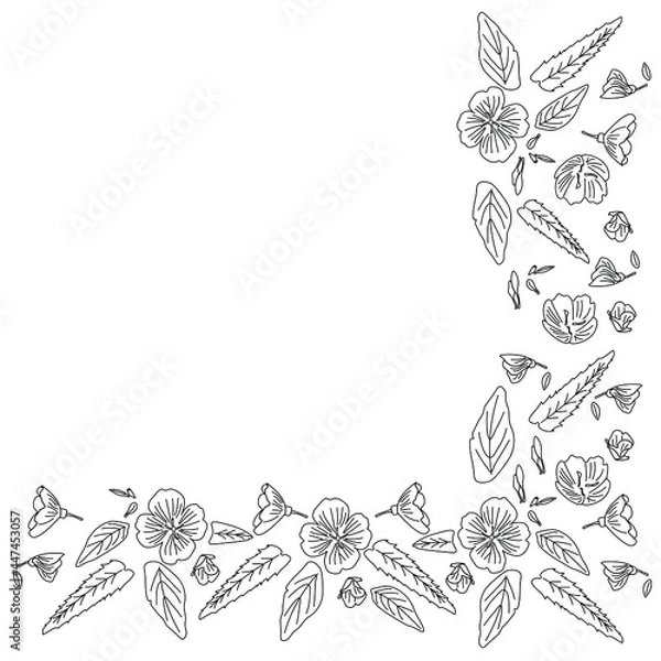Obraz Pattern with flowers, plants, leaves,corner frame. Vector doodle illustration.