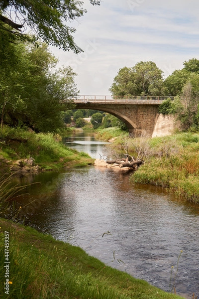Fototapeta Landscape of a river with grass and trees.