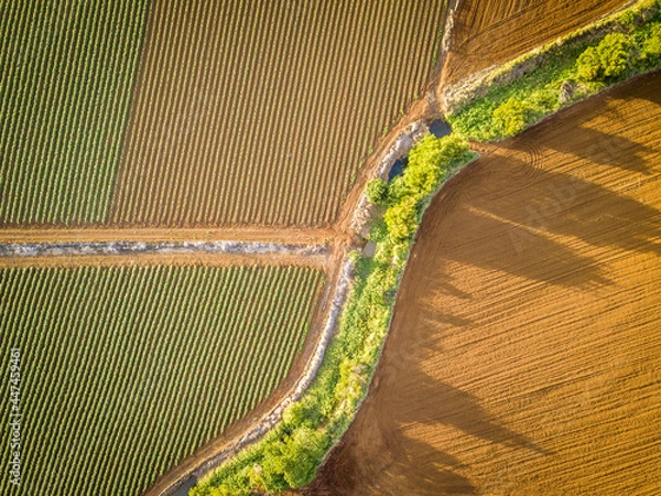 Obraz Sunrise over an Australian farm field growing fresh produce with red soil