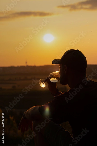 Obraz Sonnenuntergang in Rheinhessen mit Weinglas