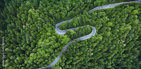 Fototapeta Aerial View of a road on a forest