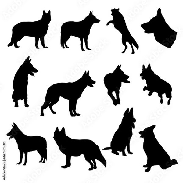 Fototapeta set of German Shepherd Silhouette vector Illustration Eps10