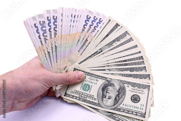 Fototapeta Banknotes of Ukraine and the USA in denominations of five hundred hryvnia and 100 dollars in hand