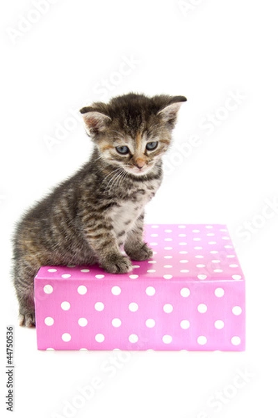 Fototapeta Special gift