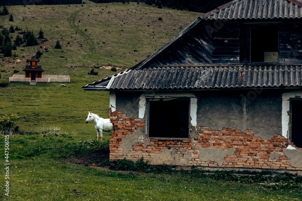 Obraz old farm house