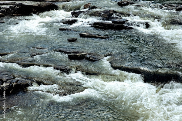 Obraz stream in the mountains