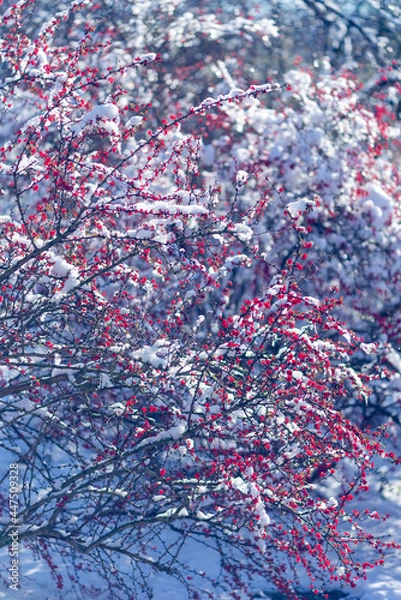 Obraz red christmas tree