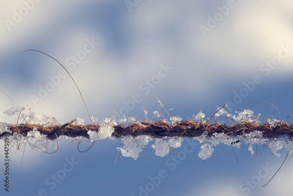 Obraz frosted cord, snow and cord, snow