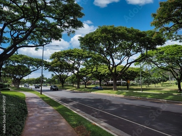 Obraz ハワイオアフ島コオリナ地区
南国の道路