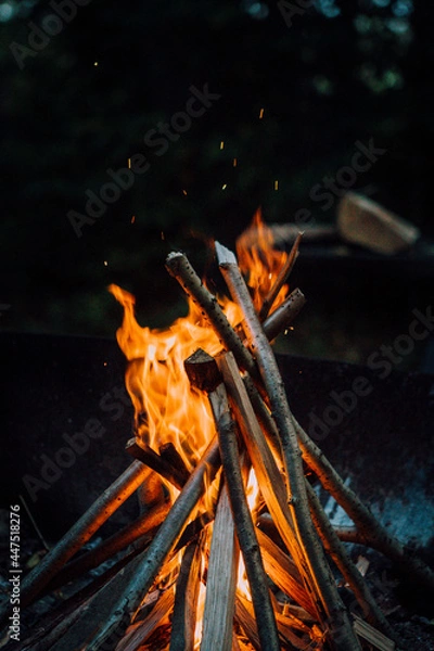 Obraz fire in the night