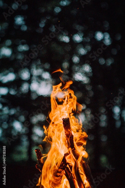 Obraz fire in the night