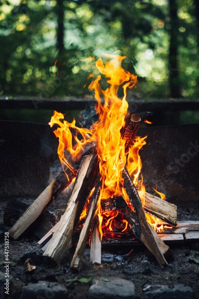 Obraz campfire in the forest