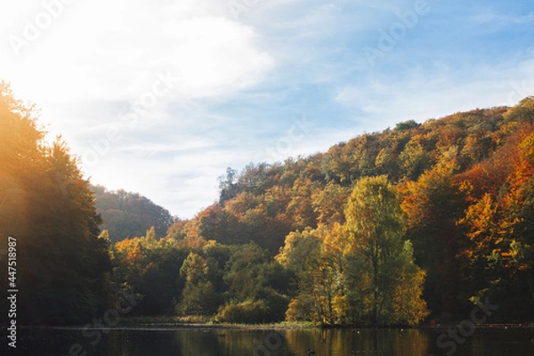 Obraz fall in söderåsens nationalpark