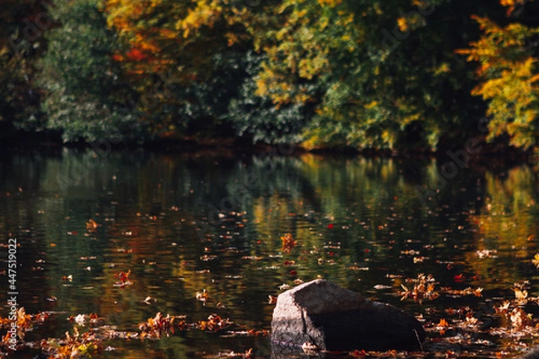 Obraz fall in söderåsens nationalpark