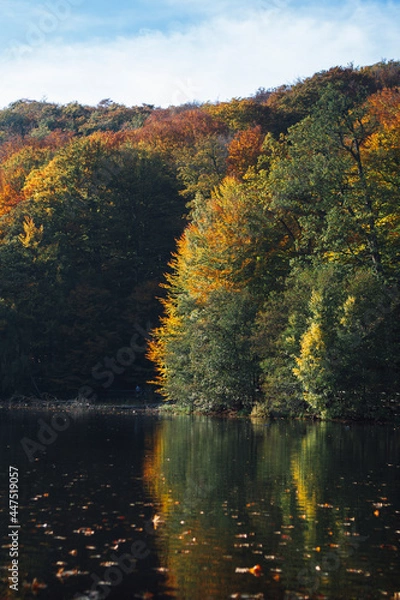 Obraz fall in söderåsens nationalpark