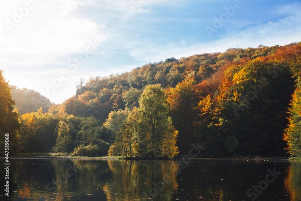 Obraz fall in söderåsens nationalpark