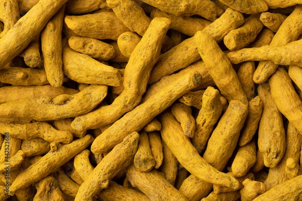 Fototapeta Dried yellow turmeric close up full frame as a background 